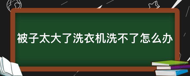 被子太大了洗衣机洗不了怎么办（被芯可以一直不洗吗）