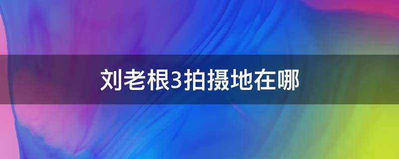 刘老根3拍摄地在哪（刘老根3拍摄地在哪个省）