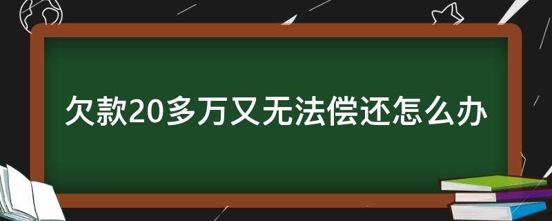 欠款20多万又无法偿还怎么办（欠了20万无力偿还怎么办）