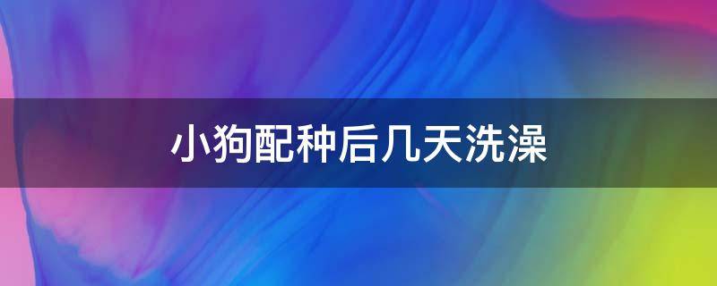 小狗配种后几天洗澡 狗狗配种后多久能洗澡