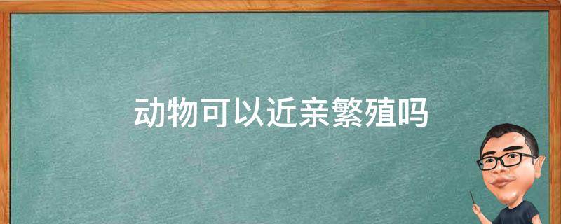 动物可以近亲繁殖吗（野生动物可以近亲繁殖吗）