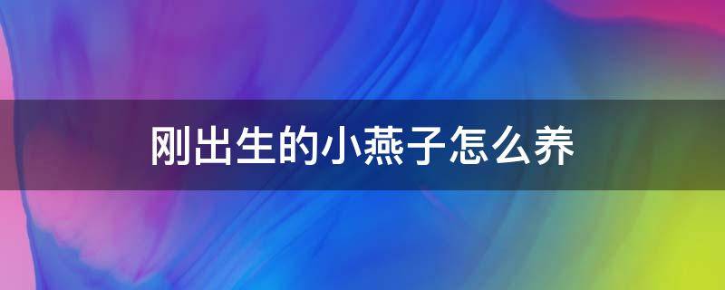 刚出生的小燕子怎么养 刚出生的小燕子怎么养?