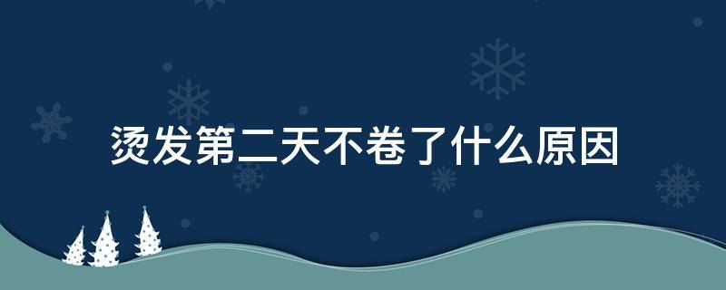 烫发第二天不卷了什么原因 烫发后两天就不卷了