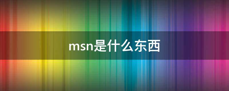 msn是什么东西（msn的意思是什么）