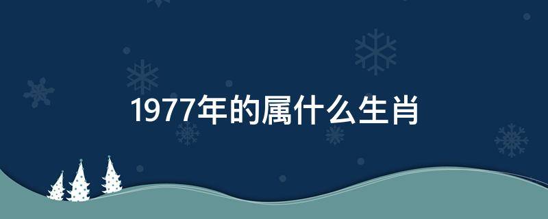 1977年的属什么生肖 1977年的属什么生肖命