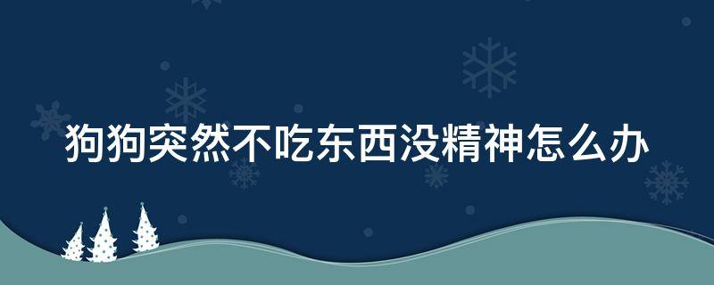 狗狗突然不吃东西没精神怎么办 狗狗突然不吃东西没精神怎么办,也不吐不拉