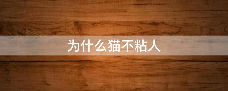 为什么猫不粘人（为什么猫不粘人还要跟人一起睡）