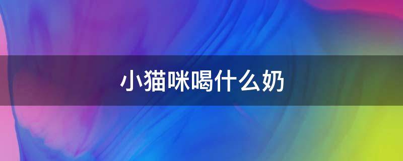 小猫咪喝什么奶 一个月小猫咪喝什么奶