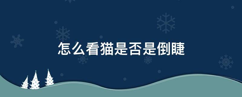 怎么看猫是否是倒睫（怎么看猫是不是倒睫毛）