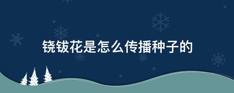 铙钹花是怎么传播种子的 喇叭花的种子是什么