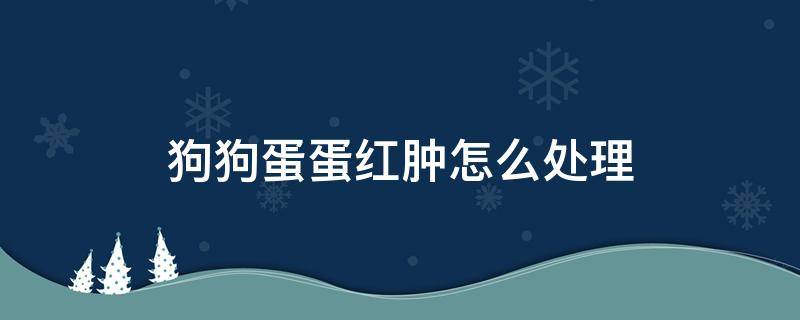 狗狗蛋蛋红肿怎么处理 狗狗蛋蛋红肿怎么办