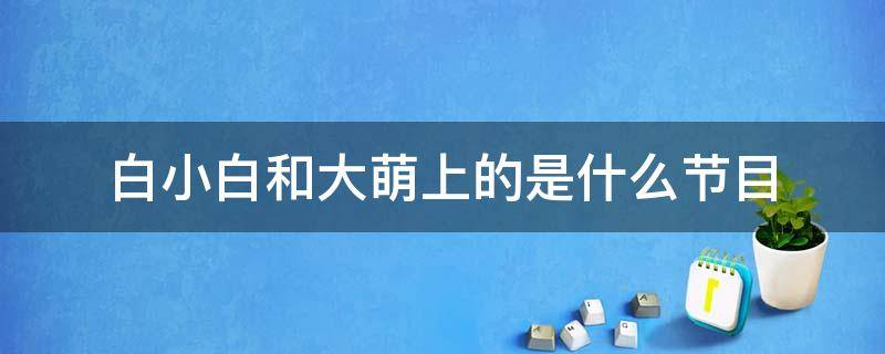 白小白和大萌上的是什么节目 白小白和大萌参加的什么节目