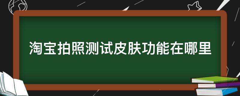 淘宝拍照测试皮肤功能在哪里 天猫拍照测试皮肤功能在哪里