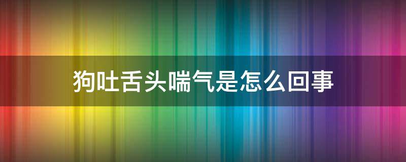 狗吐舌头喘气是怎么回事（狗狗突然吐舌头喘气是什么意思）