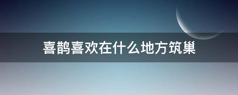 喜鹊喜欢在什么地方筑巢（喜鹊一般在什么地方筑巢）