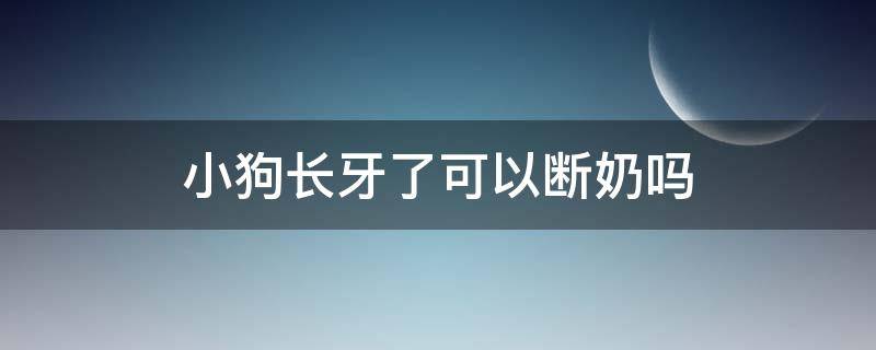 小狗长牙了可以断奶吗（小猫长牙了可以断奶吗）