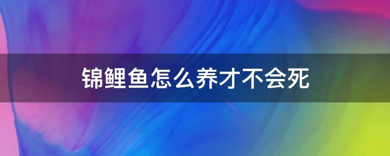 锦鲤鱼怎么养才不会死 锦鲤死水能养吗