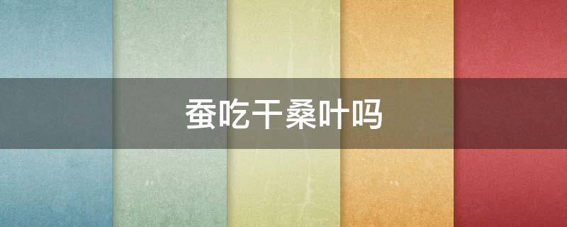 蚕吃干桑叶吗（桑蚕吃干桑叶吗）