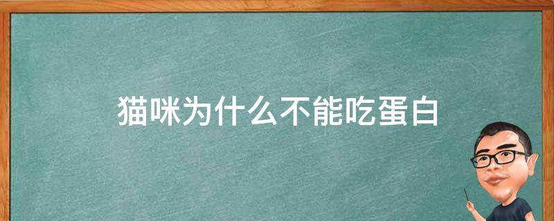 猫咪为什么不能吃蛋白 猫咪为什么不可以吃蛋白