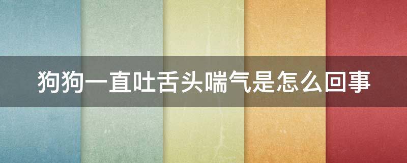 狗狗一直吐舌头喘气是怎么回事 天气不热狗狗一直伸舌头喘气