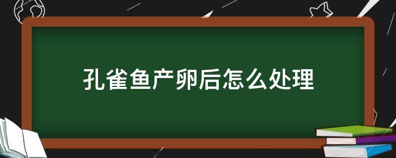 孔雀鱼产卵后怎么处理 孔雀鱼繁殖后怎么处理