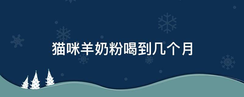 猫咪羊奶粉喝到几个月（猫咪喝羊奶粉可以喝到几月份）