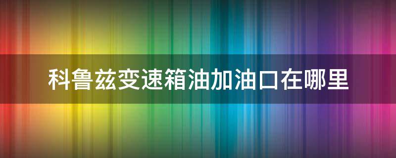 科鲁兹变速箱油加油口在哪里（科鲁兹变速箱油放油口在哪）