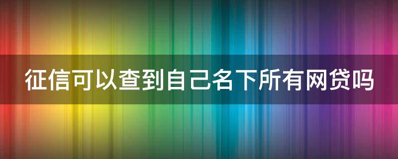 征信可以查到自己名下所有网贷吗（征信可以查到自己名下所有贷款吗）