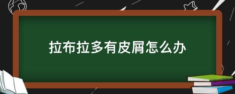 拉布拉多有皮屑怎么办（拉布拉多脱皮屑）