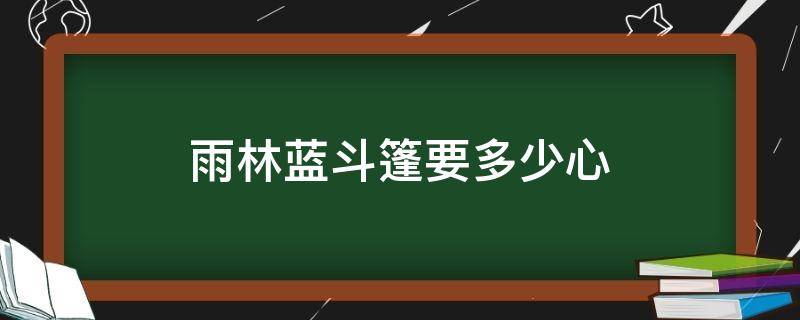 雨林蓝斗篷要多少心（蓝色斗篷需要多少心）