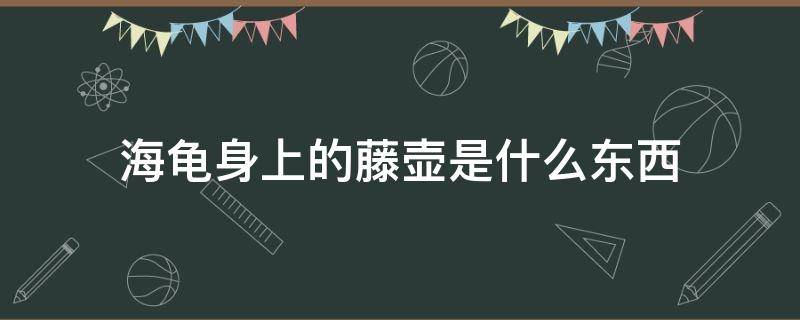 海龟身上的藤壶是什么东西（海龟背后的藤壶是干嘛的）