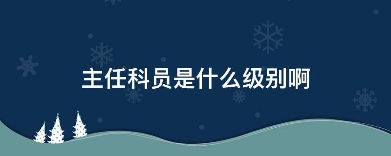 主任科员是什么级别啊（事业单位主任科员是什么级别啊）