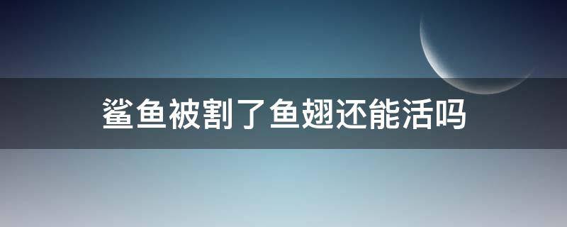 鲨鱼被割了鱼翅还能活吗（鱼翅割了鲨鱼会死吗）