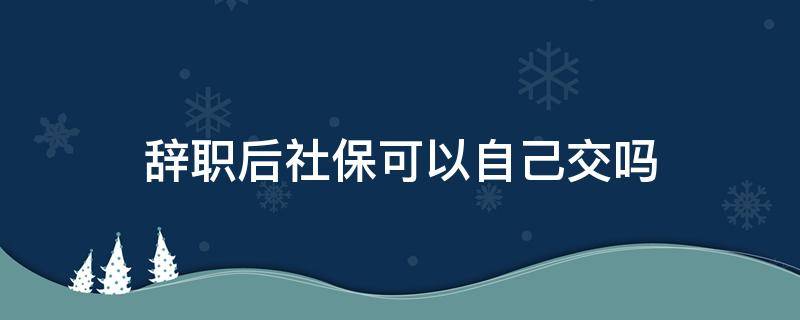 辞职后社保可以自己交吗（辞职后能自己交社保吗）