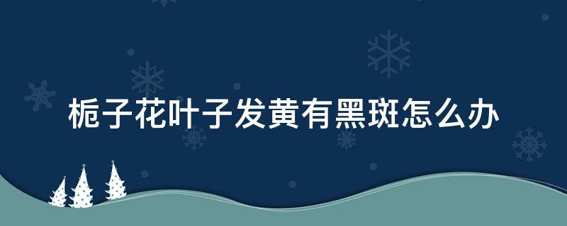 栀子花叶子发黄有黑斑怎么办（栀子花叶子发黄有黑斑是什么原因）