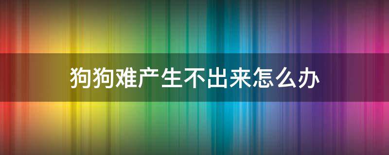 狗狗难产生不出来怎么办 狗狗难产生不出来怎么办家里没有宠物医院