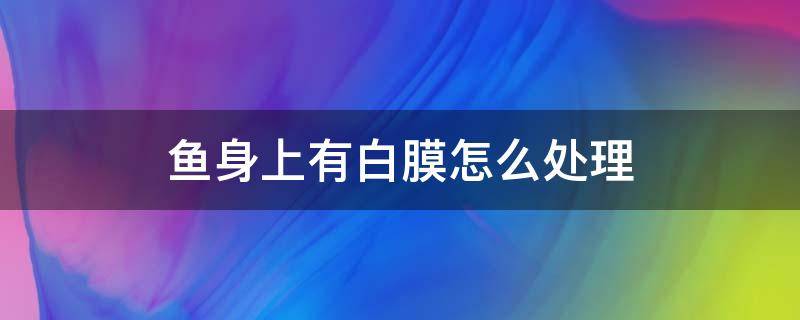 鱼身上有白膜怎么处理 鱼身上有白膜怎么处理鱼塘里的鱼