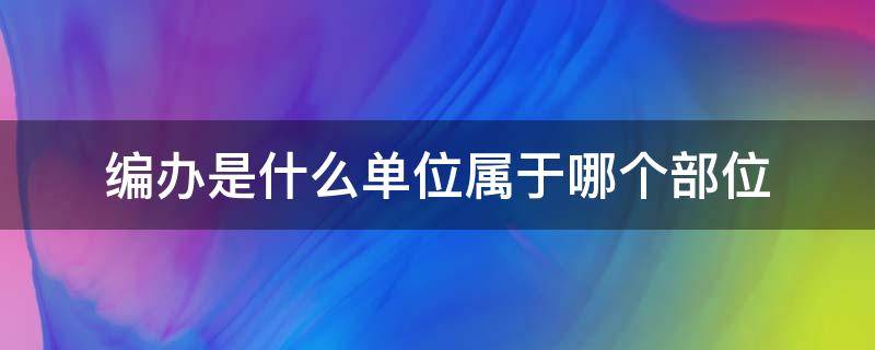 编办是什么单位属于哪个部位（编办是什么单位属于哪个部门）