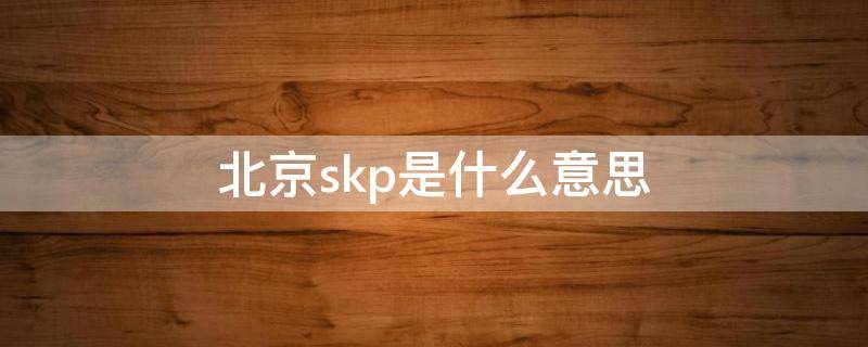 北京skp是什么意思（北京skp的skp是什么意思）