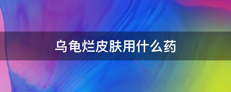 乌龟烂皮肤用什么药 乌龟皮肤溃烂用什么药治疗