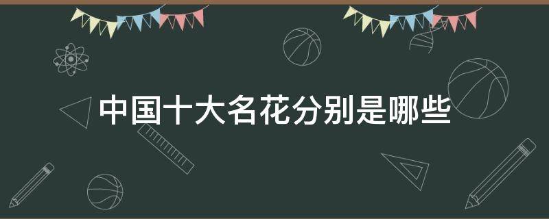 中国十大名花分别是哪些 中国十大名花分别是什么