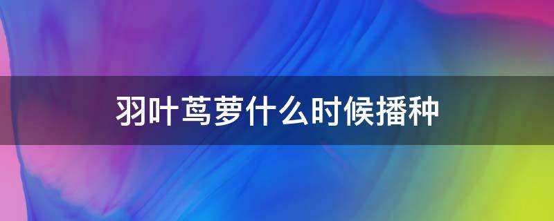 羽叶茑萝什么时候播种 圆叶茑萝什么时候播种