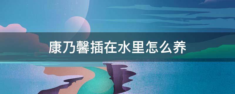 康乃馨插在水里怎么养 康乃馨可以直接插在水里吗