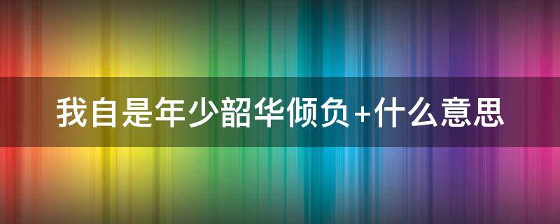 我自是年少韶华倾负（我自是年少韶华倾负的下一句）