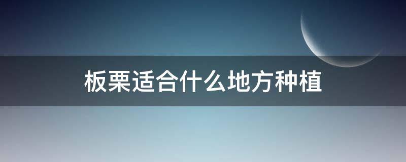 板栗适合什么地方种植（板栗适合种植在什么地方）