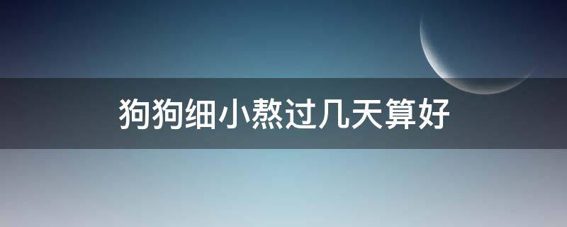 狗狗细小熬过几天算好 小狗得细小熬过一个星期就会好吗