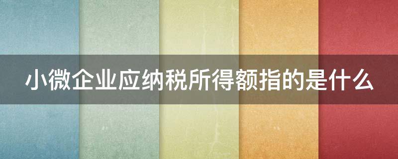 小微企业应纳税所得额指的是什么 小微企业应纳税所得额指的是什么