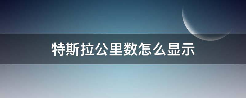 特斯拉公里数怎么显示 特斯拉如何显示公里数