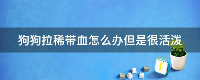 狗狗拉稀带血怎么办但是很活泼 狗狗拉血快死的前兆是什么