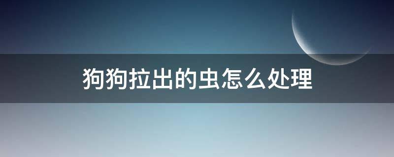 狗狗拉出的虫怎么处理 狗狗拉出来的虫子怎么处理掉